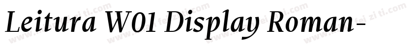 Leitura W01 Display Roman字体转换